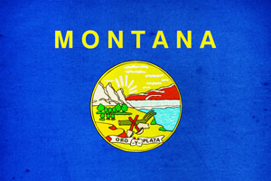 Montana State Flag